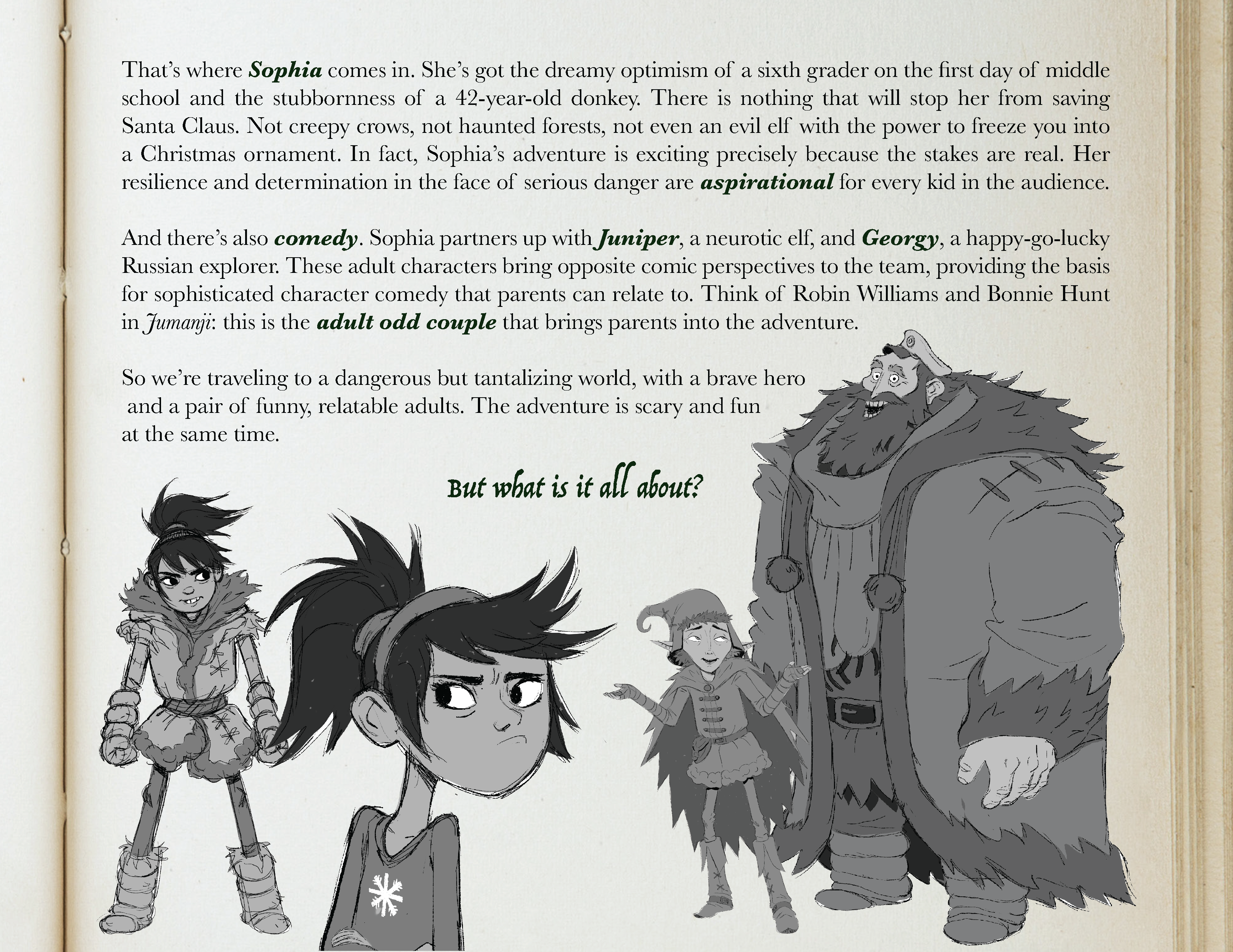 Animated Holiday Feature Film slide 5